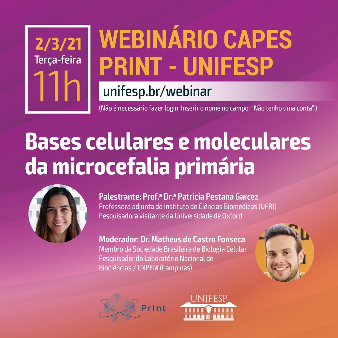 webinario Bases Microcefalia FEED